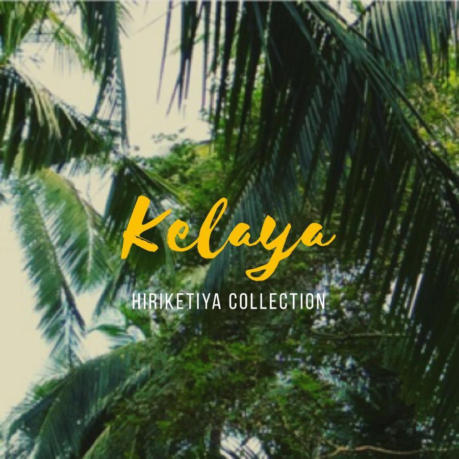 Kelaya At Hiriketiya Collection Hotel Dikwella Exterior foto